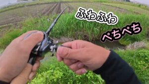 アフタースポーン真っ最中！【バス釣り】