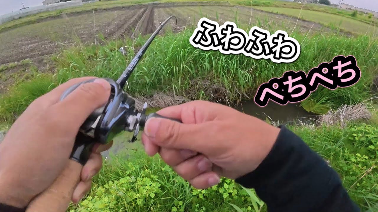 アフタースポーン真っ最中!【バス釣り】