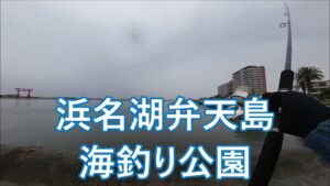 ダイソー タイラバ 浜名湖弁天島海釣り公園＃ヒラメ＃コチ＃青物