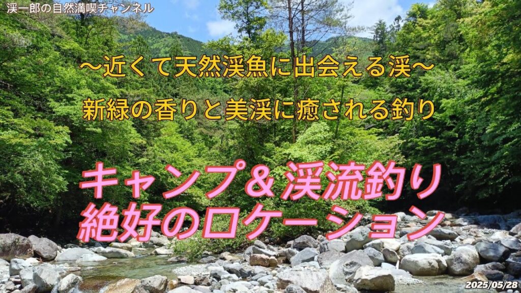 釣りキャンに最適な裏木曽の渓流