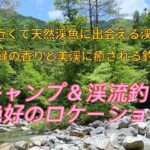 釣りキャンに最適な裏木曽の渓流