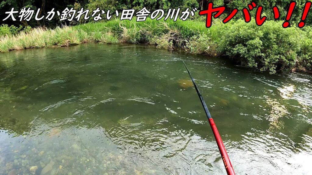 田舎の川が大物ばかりでヤバ過ぎた！！
