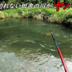田舎の川が大物ばかりでヤバ過ぎた！！