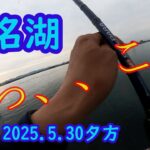 ドラグが、、止まらない。　浜名湖で期待以上の、ザ高級魚、を釣りました。強烈な引き、太平洋、遠州灘、外海の磯の様な魚が釣れます。　マハタ　キスとサビキとヒラメの予定が最高な予定変更です。