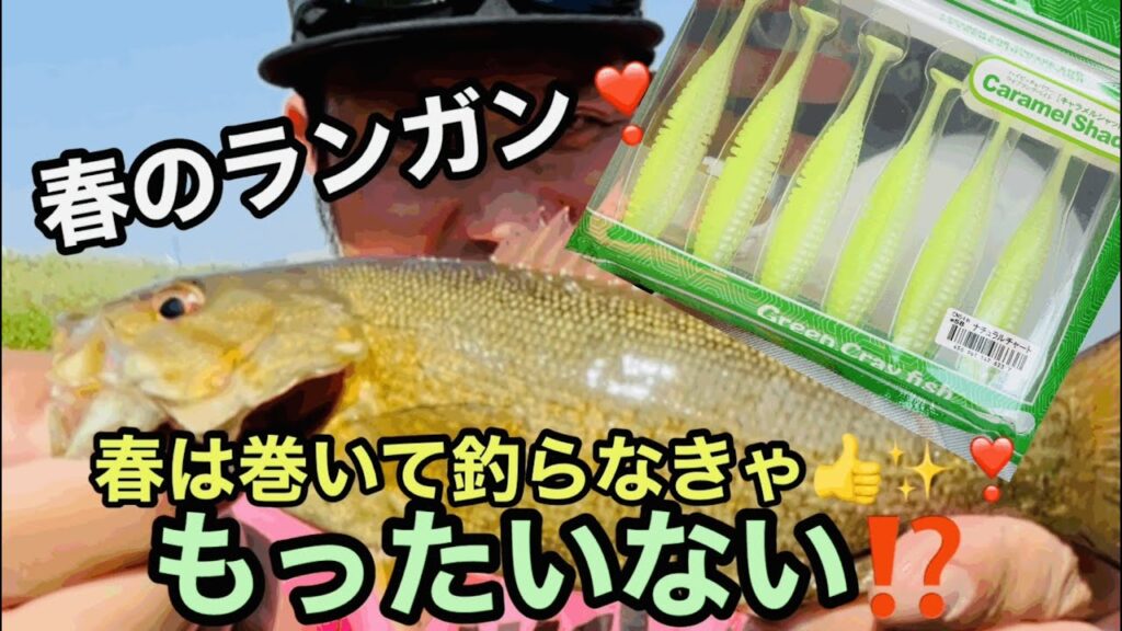 【びん沼バス釣り】初心者必見✨春のバスを巻いてランガン❣️キャラメルシャッド