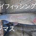 【フライフィッシング】冬の管理釣り場,リトリーブでニジマスを釣る。