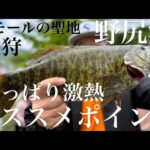 【長野バス釣り】野尻湖激熱ポイントで虎を狩る！スモールマウスバスの聖地【バス釣り】