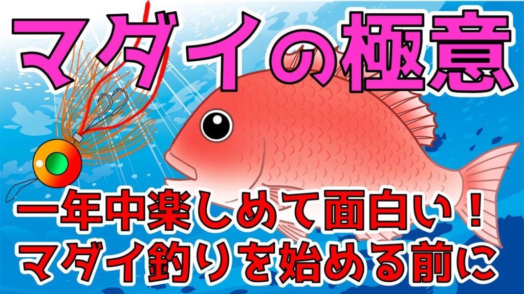 【マダイ】超入門！沼の始まり？真鯛の特徴や生態と色んな釣り方