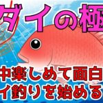 【マダイ】超入門！沼の始まり？真鯛の特徴や生態と色んな釣り方