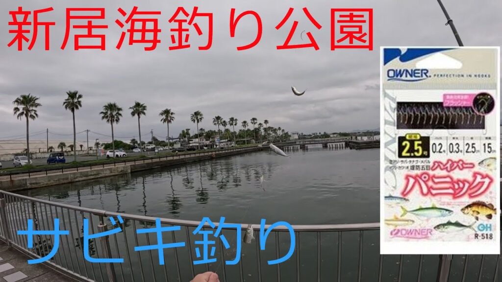 【浜名湖】海釣り公園で、餌なしサビキ釣りが爆釣！