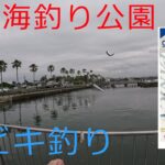 【浜名湖】海釣り公園で、餌なしサビキ釣りが爆釣！