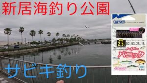 【浜名湖】海釣り公園で、餌なしサビキ釣りが爆釣!