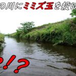 雨の日の川にミミズ玉を投げると・・・