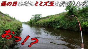 雨の日の川にミミズ玉を投げると・・・