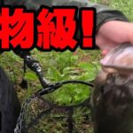 怪物級バスがきた！！！【バス釣り】【シャーベットヘアーチャンネル】【五三川】