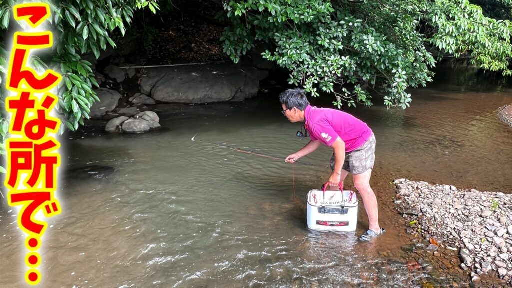 手付かずの川を探索したらウナギが次々と…