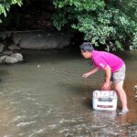 手付かずの川を探索したらウナギが次々と…