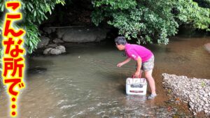 手付かずの川を探索したらウナギが次々と…