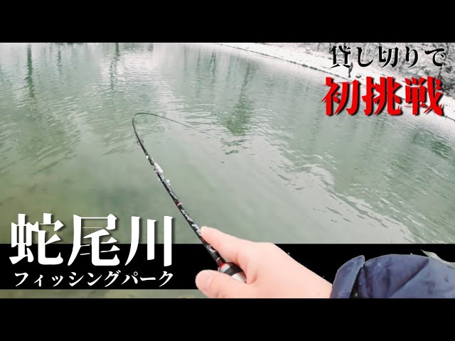 【エリアトラウト】大人気管理釣り場を貸し切り！蛇尾川フィッシングパークで大物現る！
