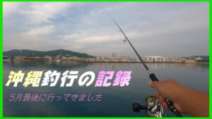 【沖縄の旅・釣行編】オバーのカジマヤーに行くついでに海づりしてみました。 #与那原マリーナ #西原ビーチ #海ルアー