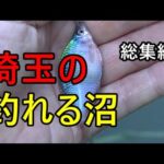 タナゴやフナやいろいろ釣れる埼玉の沼総集編【埼玉県】