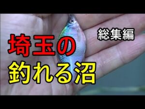 タナゴやフナやいろいろ釣れる埼玉の沼総集編【埼玉県】