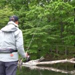 各社の気になるアイテムを徹底比較して、辿り着いた最強ワームが…【榛名湖】