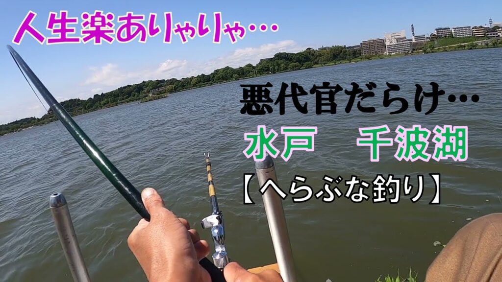 水戸・偕楽園の隣の池「千波湖」でへらぶな釣り