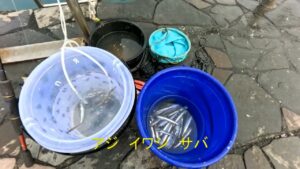 南浜名湖の釣り　海釣公園