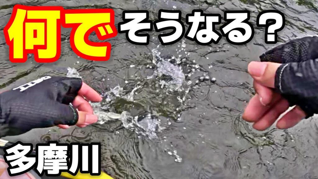 多摩川でボウズ覚悟で渓流釣り！そんな時に限って…