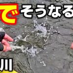 多摩川でボウズ覚悟で渓流釣り！そんな時に限って…