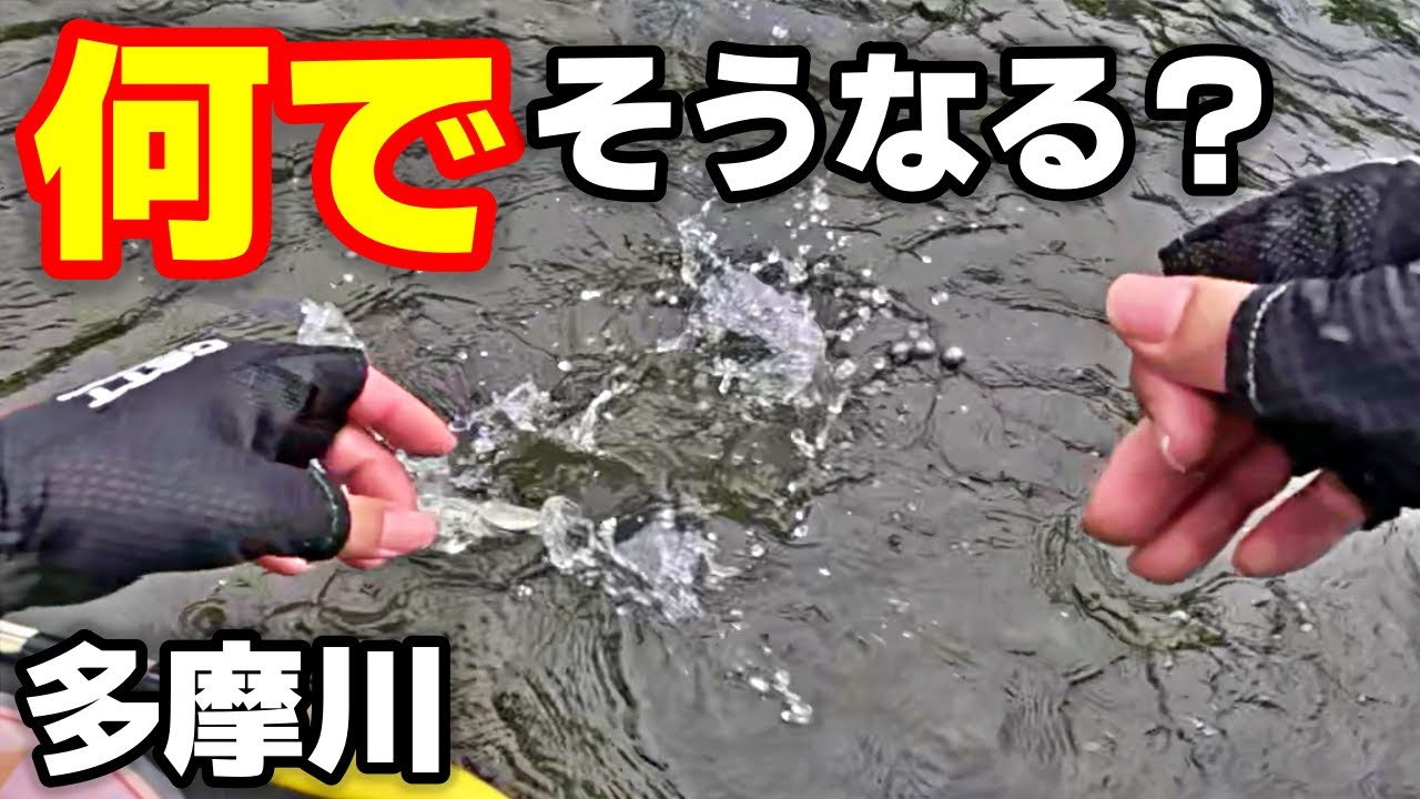 多摩川でボウズ覚悟で渓流釣り!そんな時に限って…