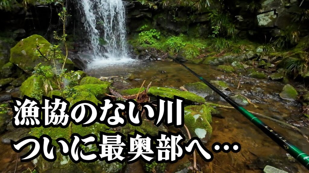 漁協のない川の最奥部へ。まだ、そこに魚はいるのでしょうか【渓流釣り】