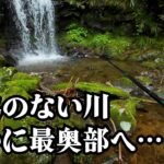 漁協のない川の最奥部へ。まだ、そこに魚はいるのでしょうか【渓流釣り】