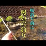 【渓流釣り】穴を探して三千里　岐阜県根尾川