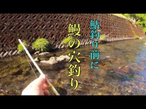 【渓流釣り】穴を探して三千里　岐阜県根尾川