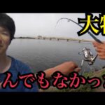 浜名湖へ釣りに行ったら大物が…