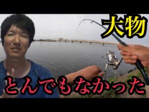 浜名湖へ釣りに行ったら大物が…