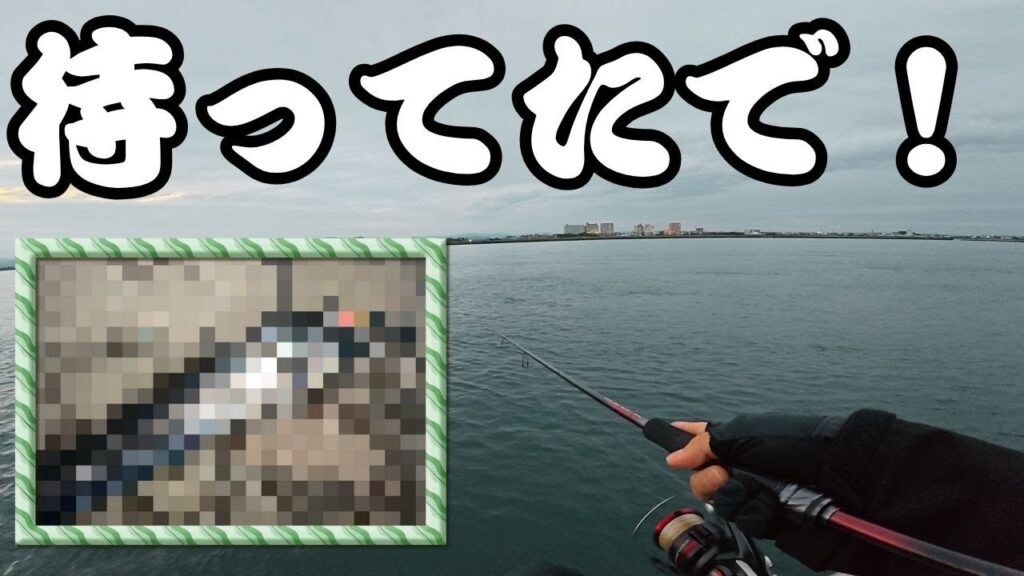 【浜名湖】ほぼ全員アジ狙いの中で釣りバカ一人だけが違う釣りをするとこうなった・・・