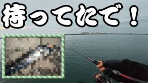 【浜名湖】ほぼ全員アジ狙いの中で釣りバカ一人だけが違う釣りをするとこうなった・・・