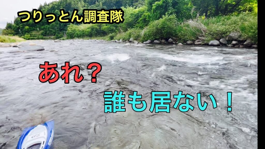 岐阜県付知川の解禁三日後。