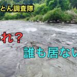 岐阜県付知川の解禁三日後。