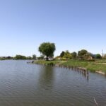 山ノ神沼で小物釣り  蓮田市山ノ神沼