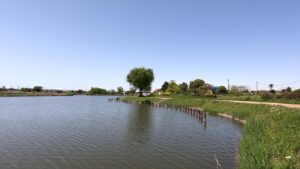 山ノ神沼で小物釣り 蓮田市山ノ神沼