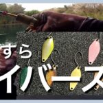 ひたすらハイバースト✨すそパ下池で定番スプーンを使う【エリアトラウト】【管理釣り場】【裾野フィッシングパーク】【すそのフィッシングパーク】