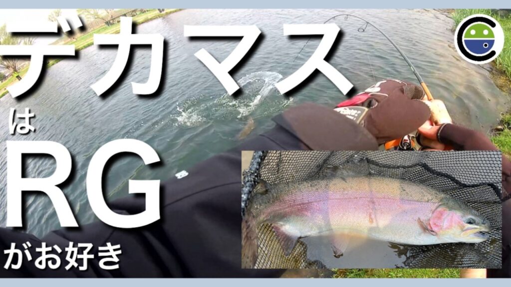 ココは天国ですか❓デカマスはレッドグローがお好き【エリアトラウト】【管理釣り場】【ユーランド清水川】