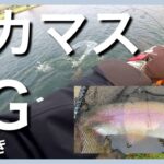 ココは天国ですか❓デカマスはレッドグローがお好き【エリアトラウト】【管理釣り場】【ユーランド清水川】