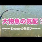 【浜名湖 釣り】久しぶりの良いしなり✨