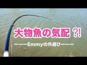 【浜名湖 釣り】久しぶりの良いしなり✨