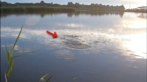 伝説の沼に釣りに行ったら、とんでもない事に